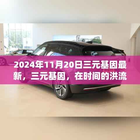 三元基因在时间的洪流中的璀璨明珠,记最新进展与影响(2024年11月20日)