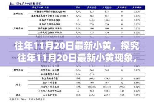 往年11月20日最新小黄现象深度探究,多元视角审视与我的观点