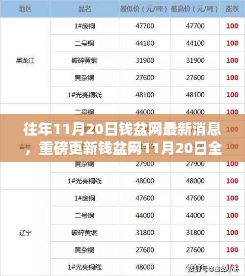 钱盆网全新升级重磅来袭,科技重塑金融,智能生活体验前所未有,11月20日最新消息揭秘