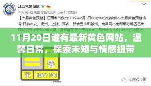 11月20日谁有最新黄色网站,温馨日常,探索未知与情感纽带的力量