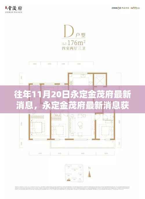 往年11月20日永定金茂府最新消息揭秘,获取指南与动态掌握攻略