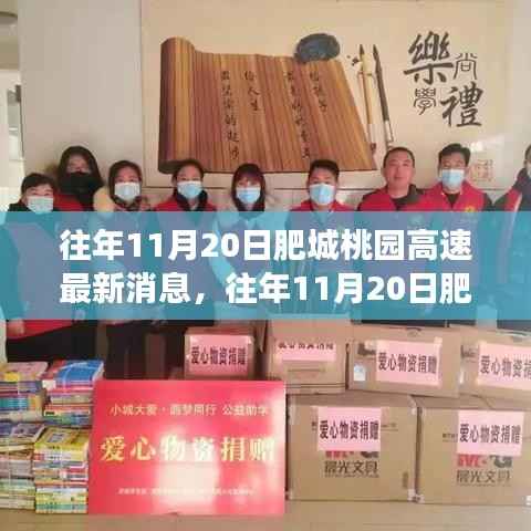 往年11月20日肥城桃园高速建设进展及影响分析最新消息揭秘