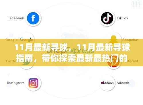 11月最新热门球类运动探索指南