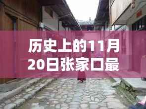 探秘张家口特色小店与猪价传奇,历史上的最新猪价回顾与揭秘!