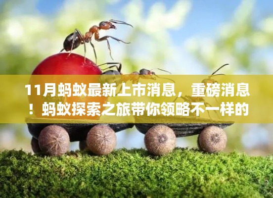 初遇在故事开头 第18页