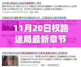 11月20日权路迷局最新章节,权路迷局中的温情日常,11月20日的奇妙际遇