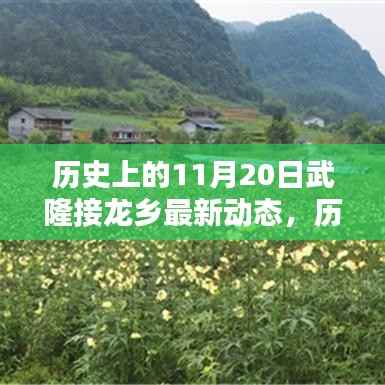 武隆接龙乡最新动态概览，历史上的11月20日动态回顾与概览