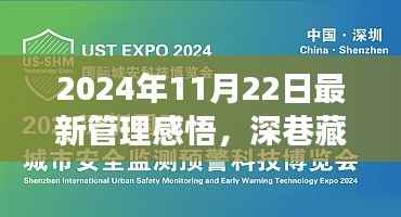 2024年11月22日最新管理感悟,深巷藏珍,2024年11月22日的独特管理感悟与小巷中的惊喜之旅