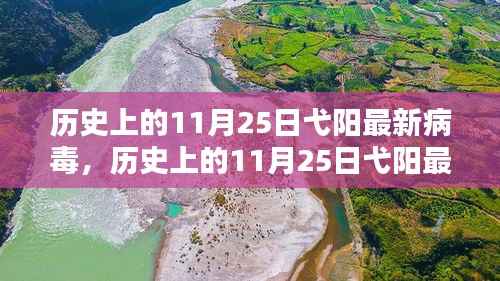 历史上的11月25日弋阳最新病毒,全面评测与介绍深度解析