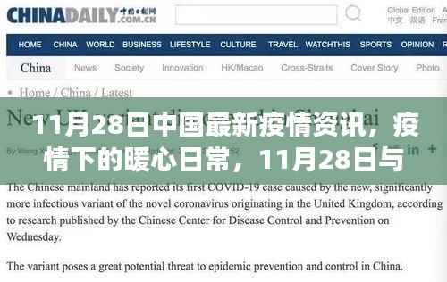 云端相聚分享暖心日常,中国最新疫情资讯与疫情下的生活点滴