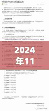 2024年11月30日深圳融金所回顾与展望,最新消息与动态