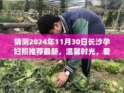 长沙孕妇照推荐,温馨时光下的日常故事,爱在孕妇照中的日常记录(2024年11月30日更新)