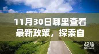 11月30日启程探索之旅，最新政策解读与自然美景的寻觅之旅