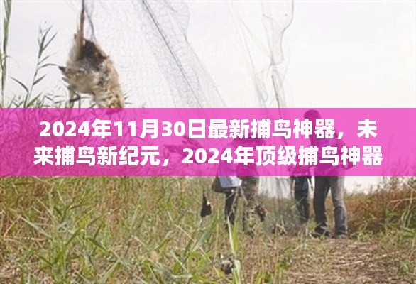 揭秘,2024年顶级捕鸟神器,开启未来捕鸟新纪元