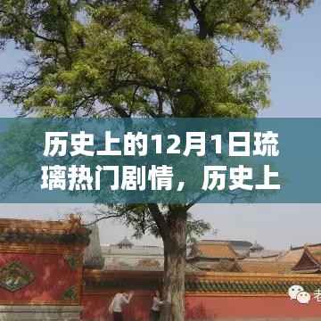 历史上的12月1日,琉璃剧情璀璨瞬间回顾