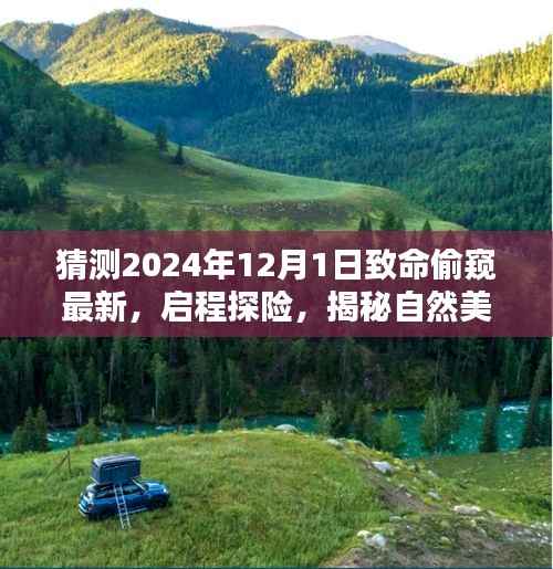 揭秘自然美景背后的秘密,探险启程,偷窥致命之美,探寻内心宁静乐园的未知之旅(2024年最新)