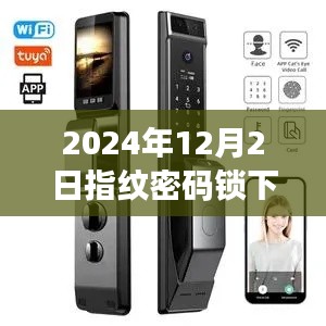 2024年指纹密码锁热门版本下载指南,市场最新趋势与选择