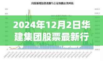 华建集团股票最新行情下的心灵静谧之旅,自然之旅启程