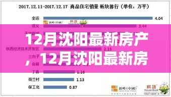 沈阳最新房产动态,投资置业的理想选择,12月最新房产资讯