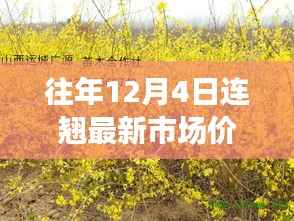 往年12月4日花卉市场洞察,获取连翘与Larch花语市场价格的新手指南与进阶秘籍