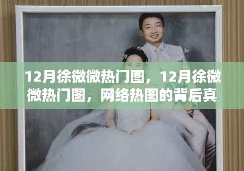 揭秘网络热图背后的真相与反思,徐微微十二月热门图探究