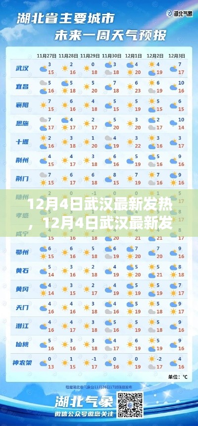 12月4日武汉最新发热情况深度解析及探讨