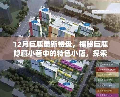 12月巨鹿最新楼盘,揭秘巨鹿隐藏小巷中的特色小店,探索最新楼盘的别样风情