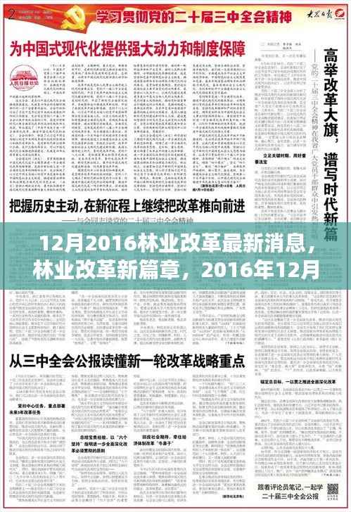 林业改革新篇章,深度解析最新动态与消息