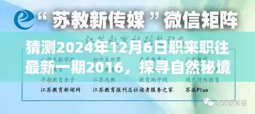 探寻自然秘境,心灵之旅启程,职来职往最新一期预告 2024年12月6日即将揭晓