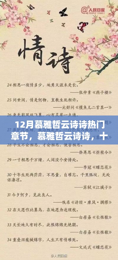 慕雅哲云诗诗,十二月深情章节展现浪漫情怀