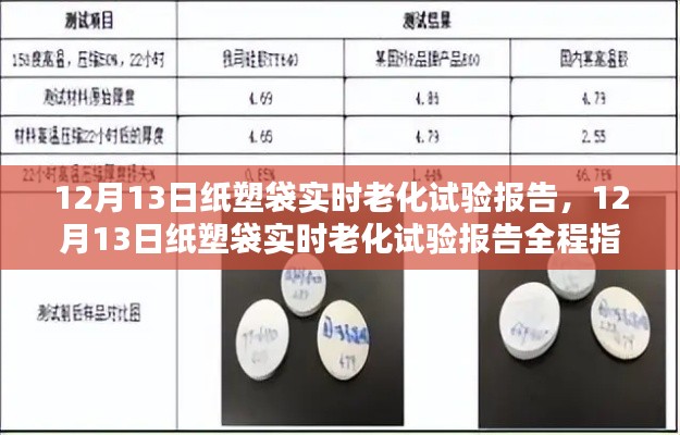 纸塑袋实时老化试验报告,全程指南与最新进展分析