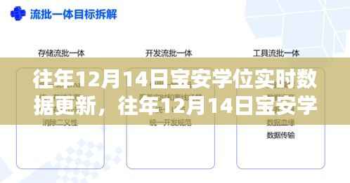 往年12月14日宝安学位实时数据更新,洞悉教育资源动态分配情况