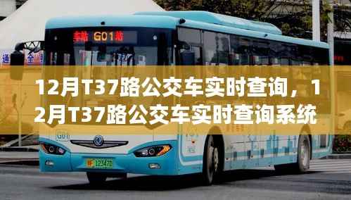 深度评测与介绍,12月T37路公交车实时查询系统