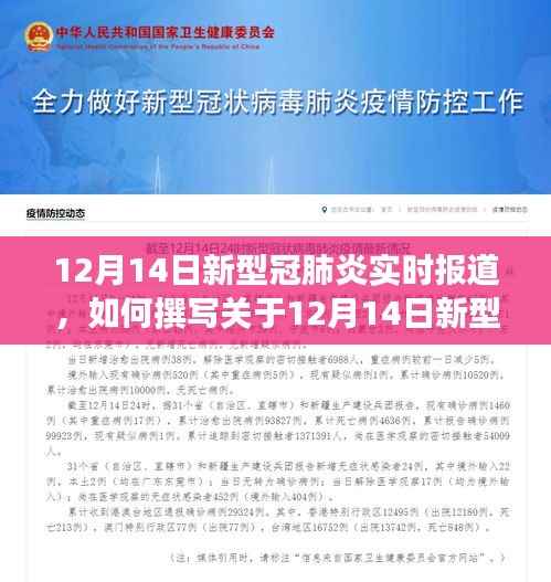 12月14日新型冠肺炎实时报道详细步骤指南及最新动态更新