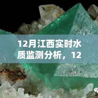 江西水质监测全解析,从入门到进阶的实时水质监测指南