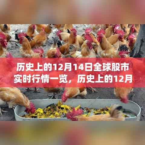 深度解析,历史上的12月14日全球股市实时行情回顾与观点阐述