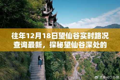 探秘望仙谷深处隐藏瑰宝，实时路况下的特色小巷美食之旅