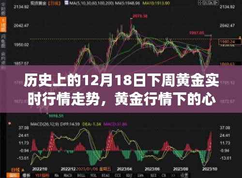 黄金行情下的心灵之旅,揭秘历史黄金行情走势与探索之旅的启示