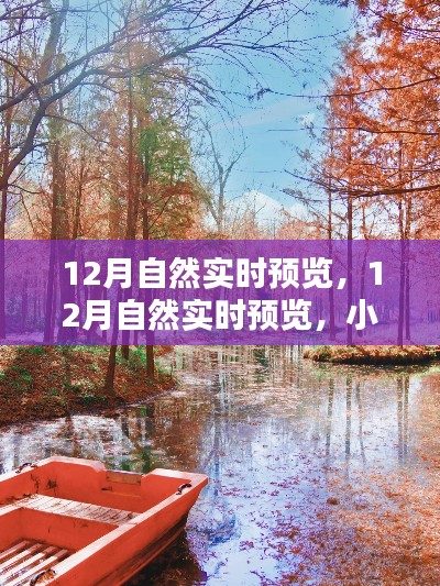 小红书带你走进冬日生态之美,揭秘十二月自然实时预览的奥秘