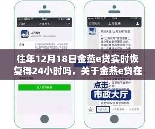 关于往年12月18日金燕e贷恢复时间的深度解析,实时恢复是否需24小时?