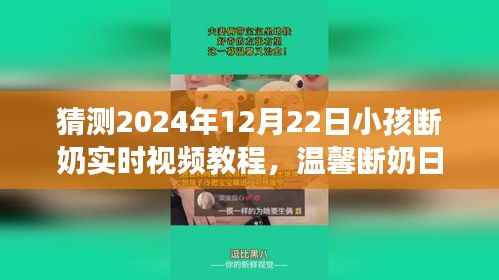 2024年圣诞前夕的温馨断奶纪实,亲子情深与实时视频教程
