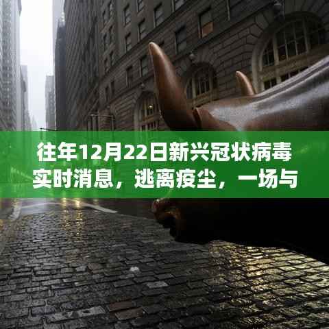 往年12月22日新兴冠状病毒实时消息回顾,逃离疫尘的奇妙自然之旅