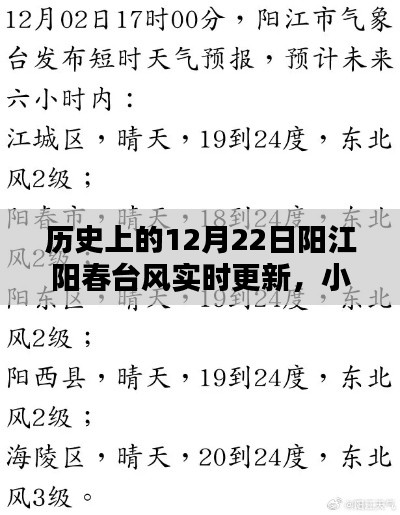 历史上的12月22日阳江阳春台风实时更新纪实,小红书专享台风纪实播报