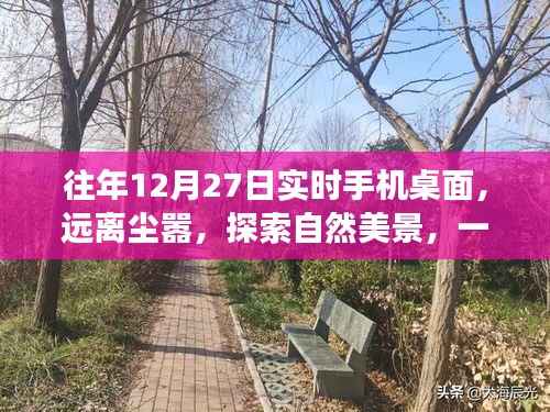 心灵之旅,手机桌面与自然美景的启示录