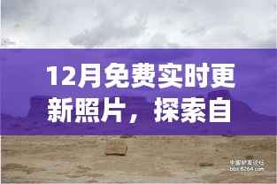 12月免费实时更新照片,自然美景探索之旅,寻找内心平静之旅