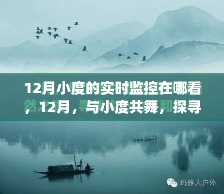 12月实时监控小度探索宁静自然之旅,与小度共舞的魅力所在