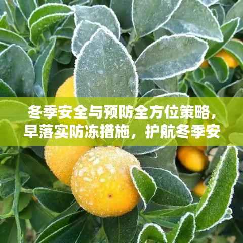 冬季安全与预防全方位策略,早落实防冻措施,护航冬季安全