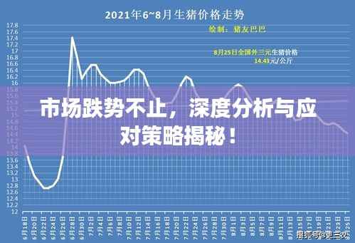 市场跌势不止,深度分析与应对策略揭秘!