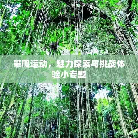 攀爬运动,魅力探索与挑战体验小专题