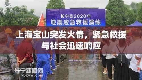 上海宝山突发火情,紧急救援与社会迅速响应